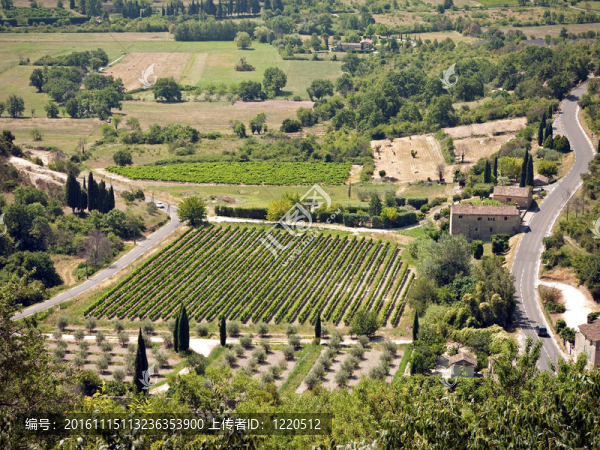 普羅旺斯-鳥眼觀