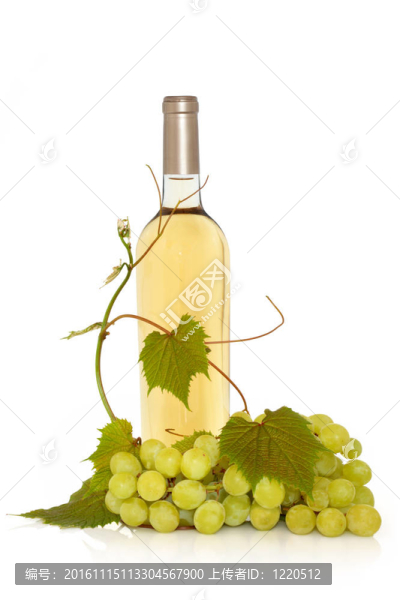 葡萄酒與葡萄藤