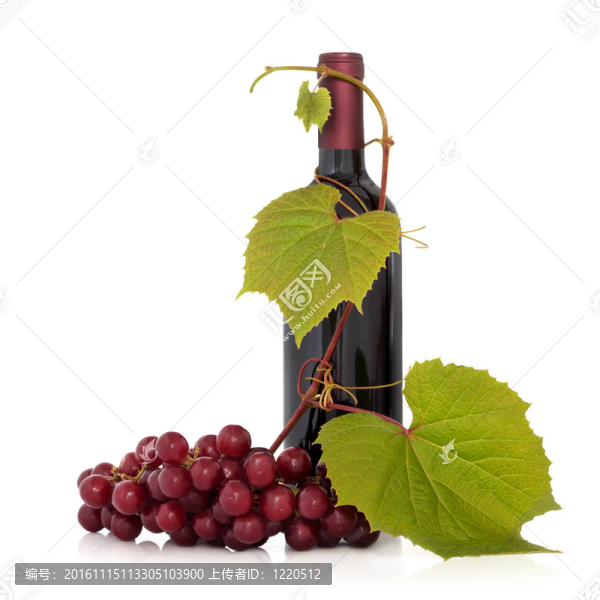 紅葡萄酒與葡萄藤