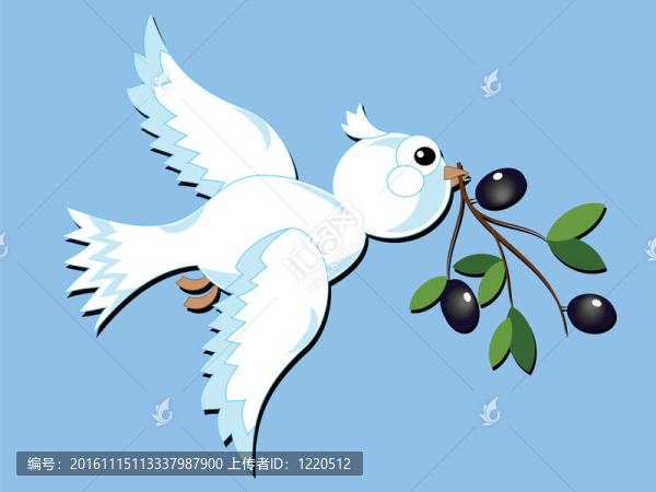 鴿子；載體