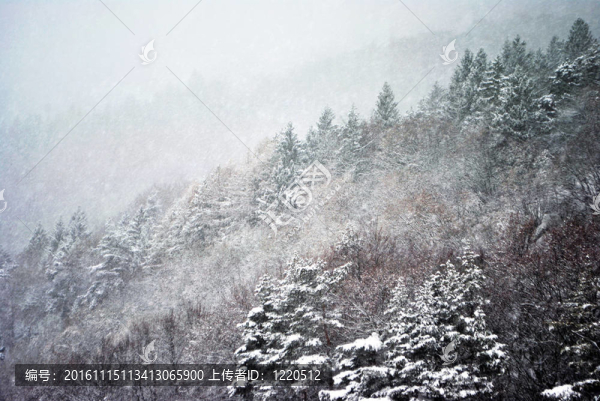 下雪