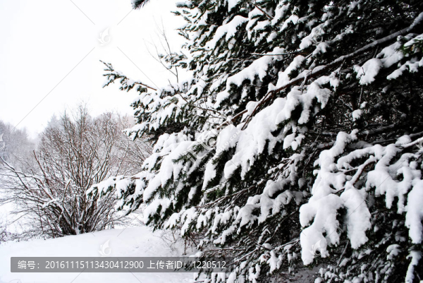 下雪