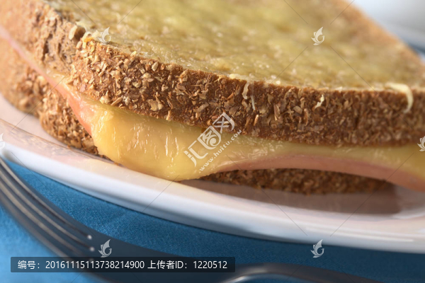 Croque,Monsieur。烤全麥面包三文治火腿奶酪和磨碎的奶酪在上面（選擇性聚焦；對(duì)夾層左前邊