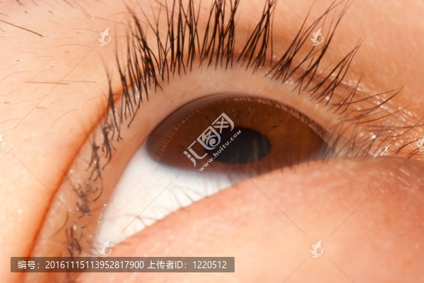 眼球