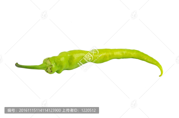 綠色的辣椒，辣椒；孤立在白色背景