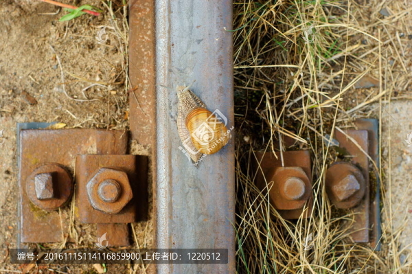鐵路軌道上的蝸牛-匯圖網(wǎng) www.fosd68.com 鐵路軌道上的蝸牛