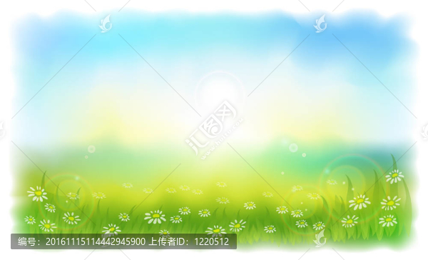 陽光普照的草地上的雛菊。陽光夏日戶外。