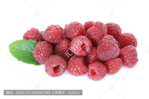 覆盆子