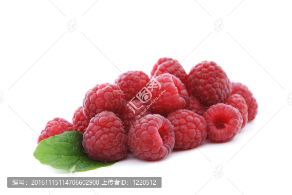 覆盆子