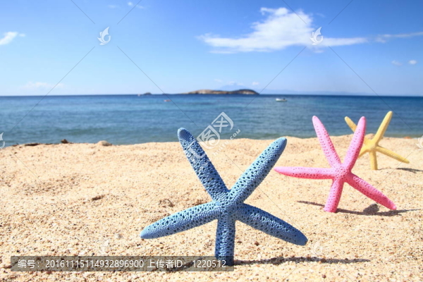 夏天海灘上五顏六色的海星