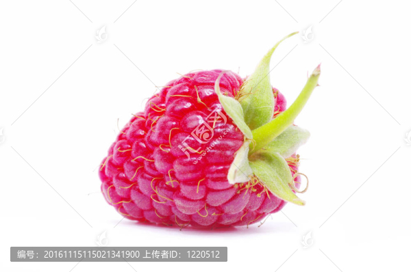 覆盆子