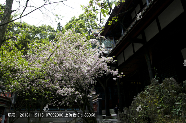 都江堰,二王廟
