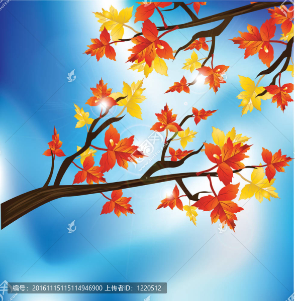 紅色和黃色的葉子