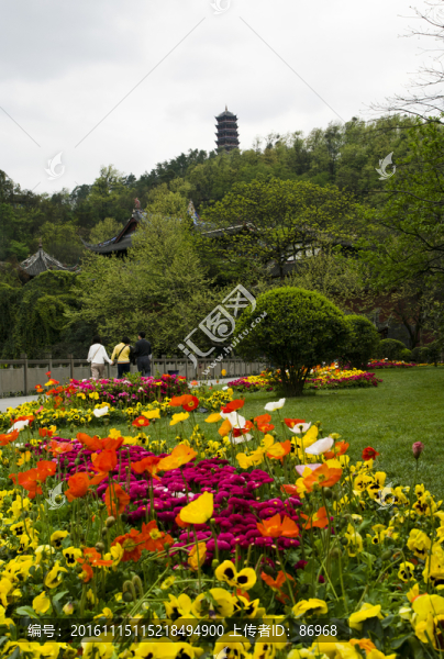都江堰