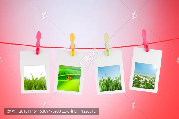 相框中的自然照片