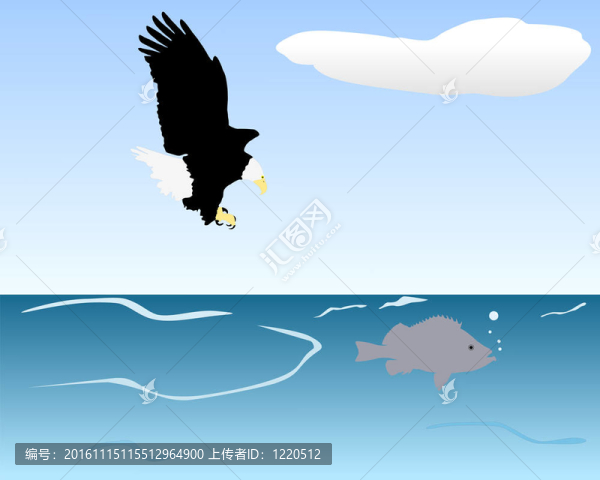 捕食鳥