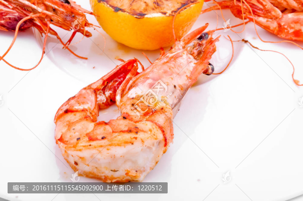 蝦-匯圖網(wǎng) www.fosd68.com 蝦