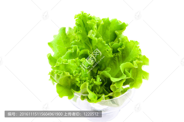 新鮮的生菜