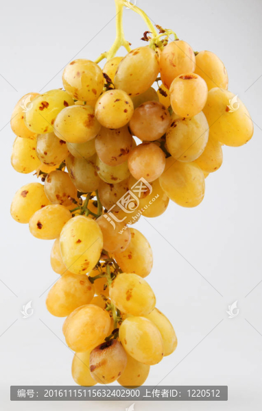 新鮮的葡萄