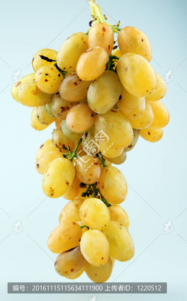 新鮮的葡萄