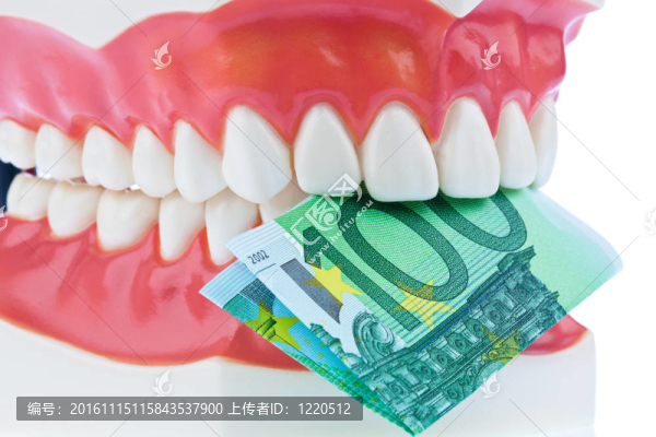 用歐元紙幣的牙齒模型