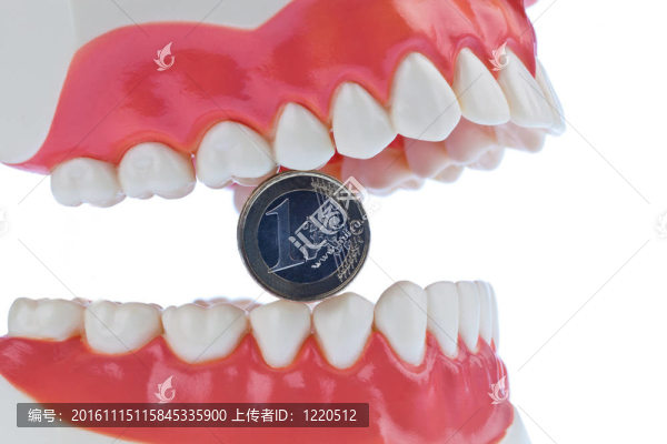 用歐元紙幣的牙齒模型
