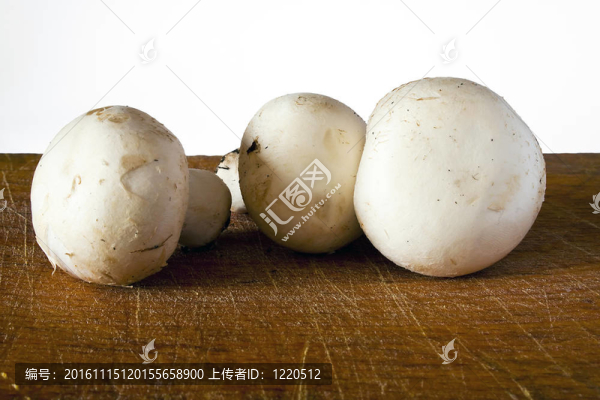 香菇蘑菇