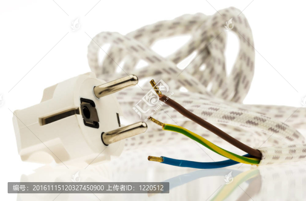 帶插頭的電源線