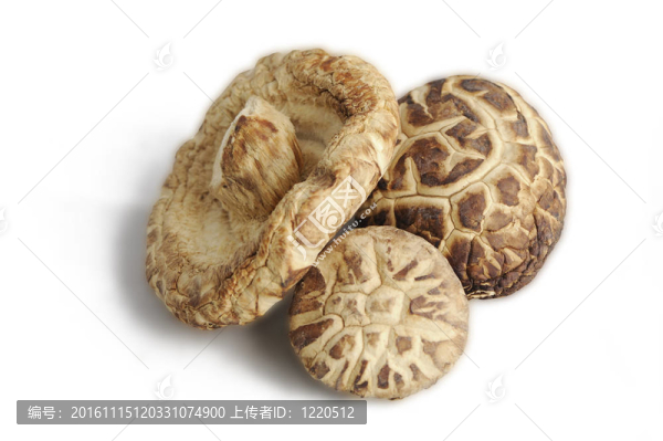 離體干燥的冬蘑菇-匯圖網(wǎng) www.fosd68.com 離體干燥的冬蘑菇