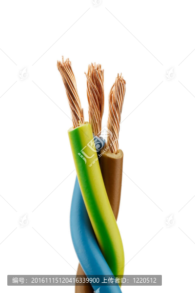 帶插頭的電源線