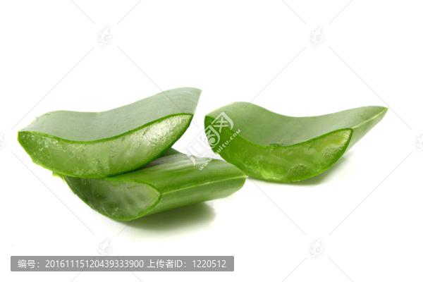蘆薈