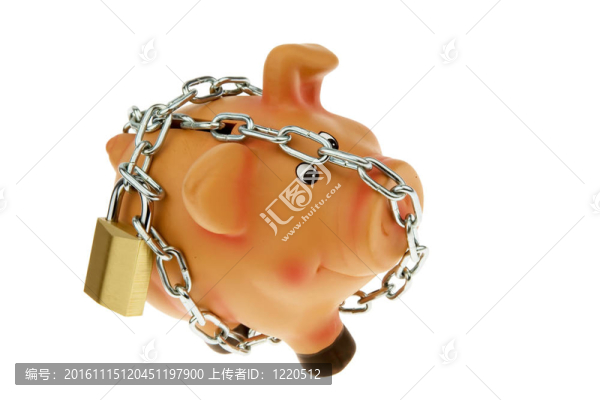帶外鏈和鎖的小豬