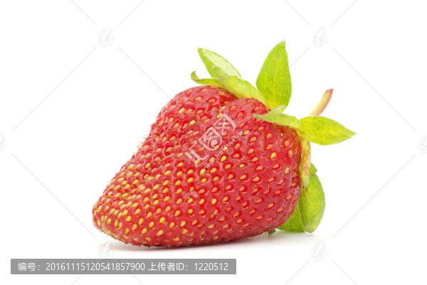 草莓