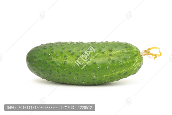 黃瓜