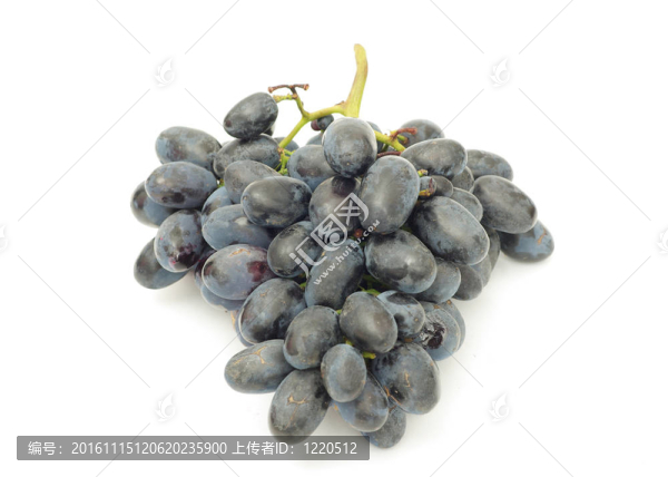 葡萄