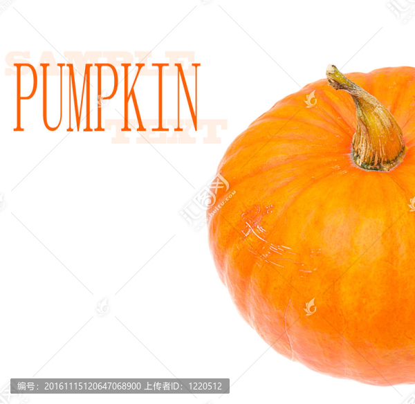 工作室拍攝一個漂亮的裝飾南瓜純白色背景