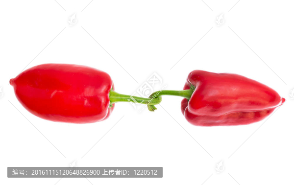 白胡椒粉