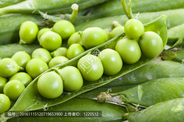 綠色的豌豆-匯圖網(wǎng) www.fosd68.com 綠色的豌豆