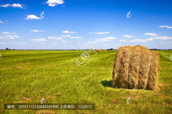 農(nóng)業(yè)