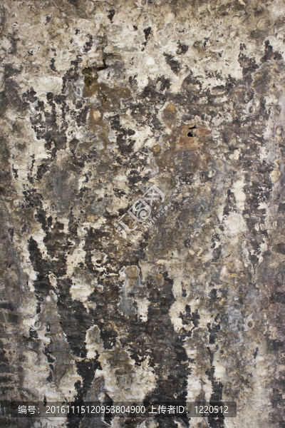 背景墻-匯圖網(wǎng) www.fosd68.com 背景墻