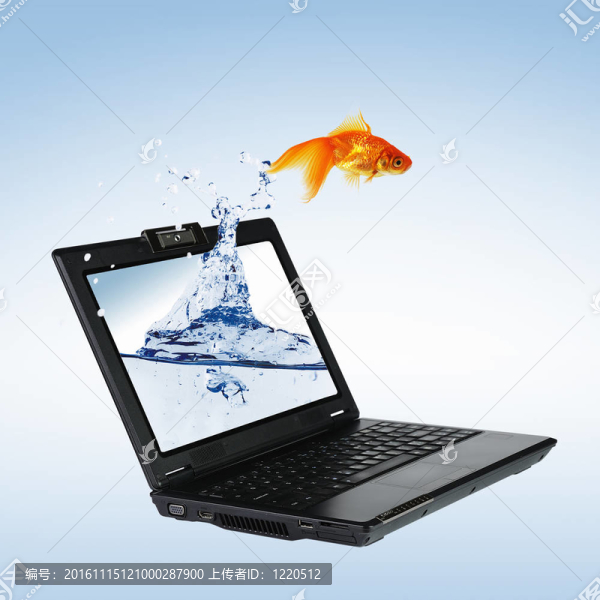 筆記本屏幕上的金魚