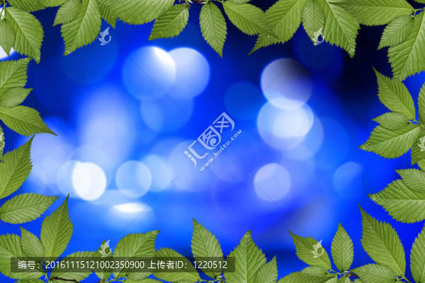 藍(lán)色抽象背景與植物框架