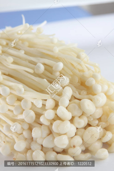 白蘑菇