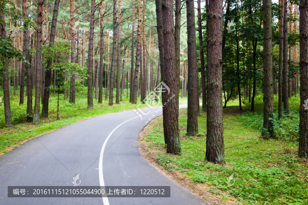 道路停車