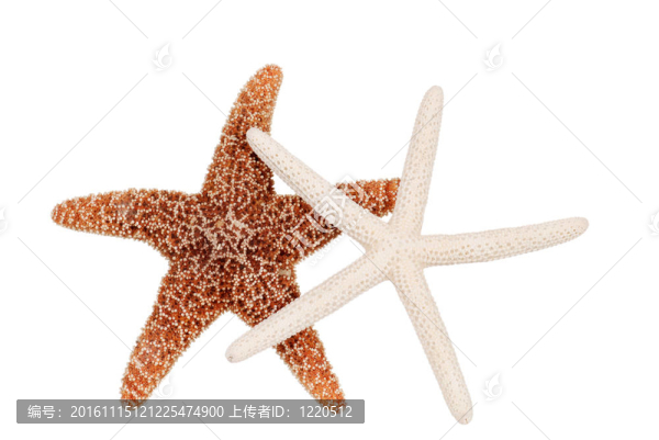 兩海星