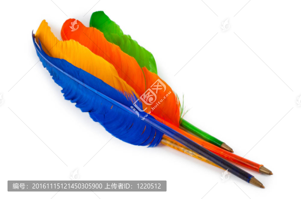 寫(xiě)在白色背景上的羽毛