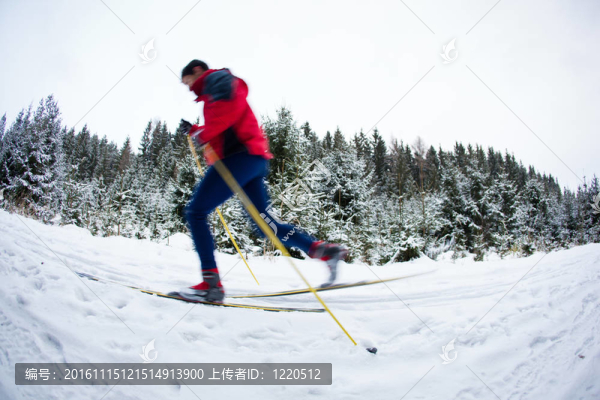 青年越野滑雪