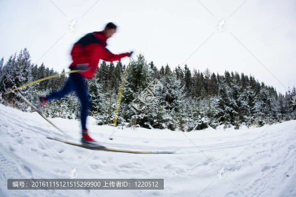 青年越野滑雪