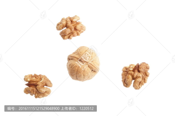 白色背景上分離的核桃仁
