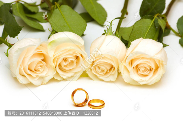 婚禮的概念與玫瑰和戒指